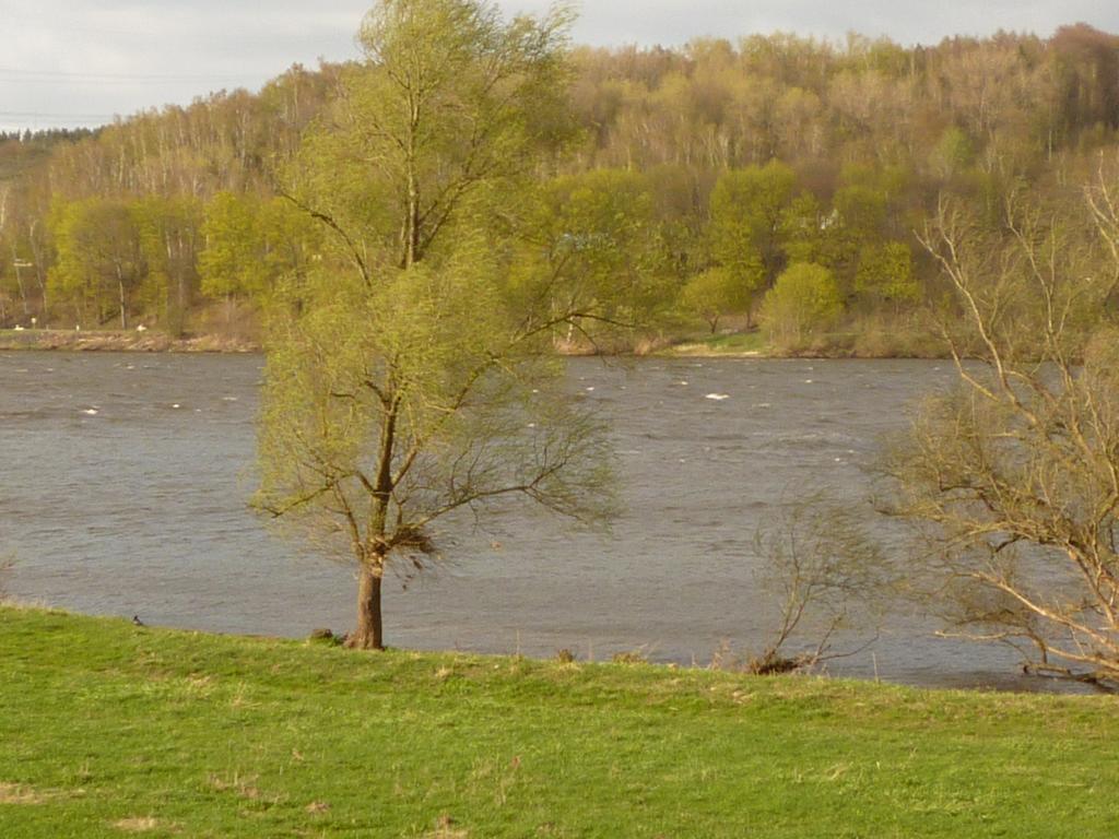 Elbe-Ferien 2 Apartman Tespe Szoba fotó